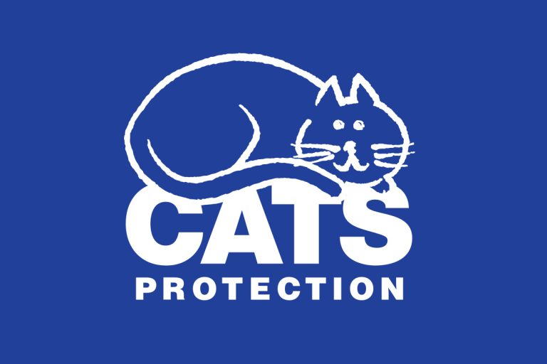 Cats Protection Featured